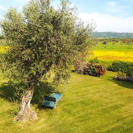 Agriturismo La Dependance Sorano  Exterior photo