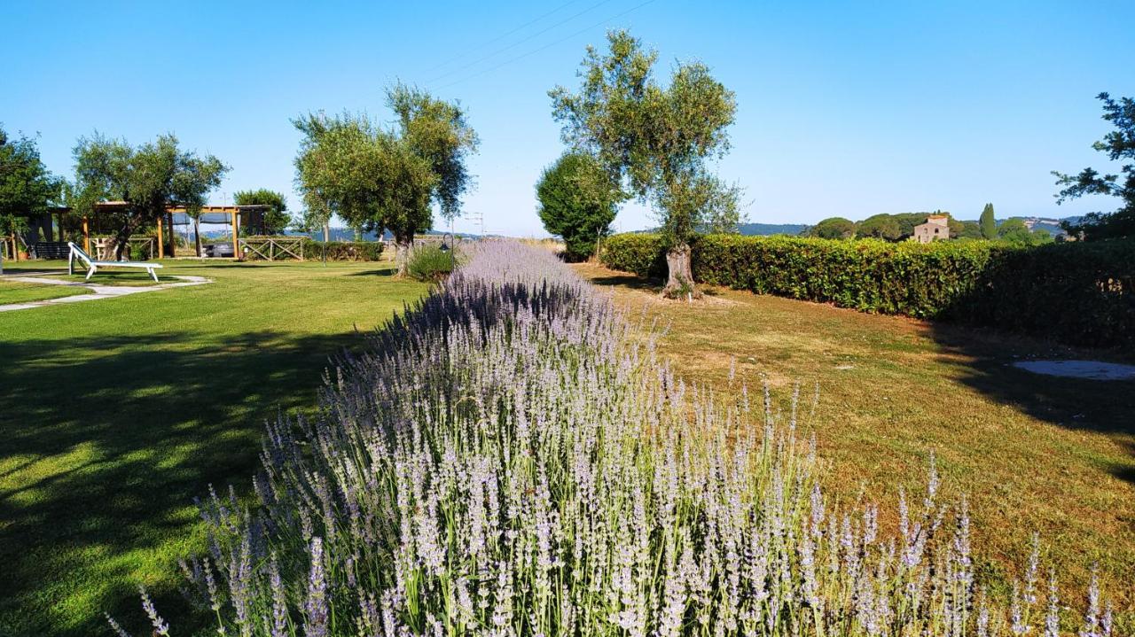 La Dependance Farm stay Sorano (Grosseto)