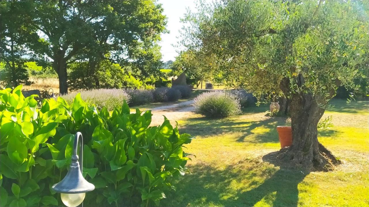 Farm stay La Dependance Sorano (Grosseto)