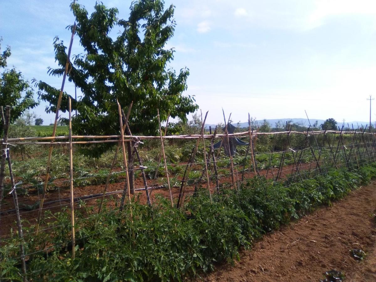 Farm stay La Dependance